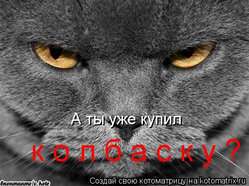 Котоматрица: А ты уже купил к о л б а с к у ?