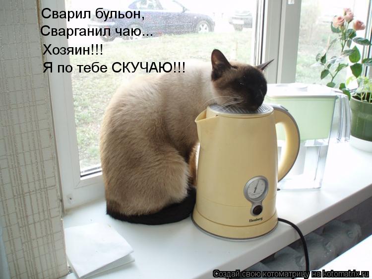 Сварил бульон, Сварганил чаю... Хозяин!!! Я по тебе СКУЧАЮ!!!... Котоматрица: Сварил бульон, Сварганил чаю... Хозяин!!! Я по тебе СКУЧАЮ!!!