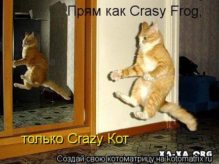 Котоматрица: только Crazy Кот Прям как Crasy Frog,