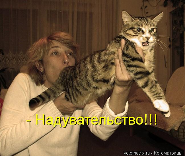 Котоматрица: - Надувательство!!!