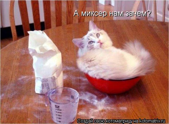 Котоматрица: А миксер нам зачем?