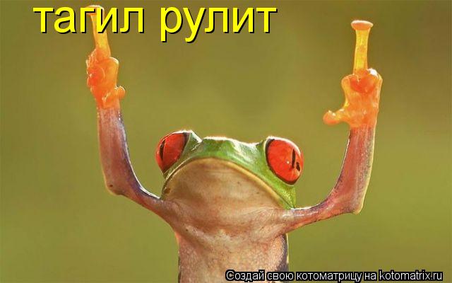 Котоматрица: тагил рулит