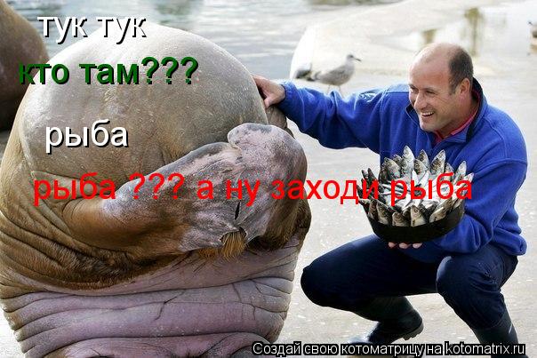 Котоматрица: тук тук  кто там??? рыба рыба ??? а ну заходи рыба