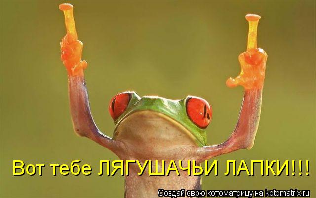 Котоматрица: Вот тебе ЛЯГУШАЧЬИ ЛАПКИ!!!