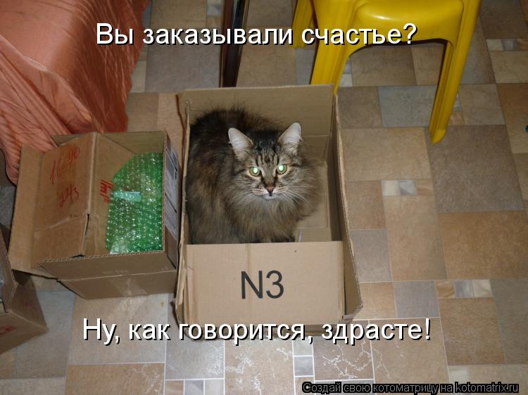 Вы заказывали счастье? Ну, как говорится, здрасте!... Котоматрица: Вы заказывали счастье? Ну, как говорится, здрасте!