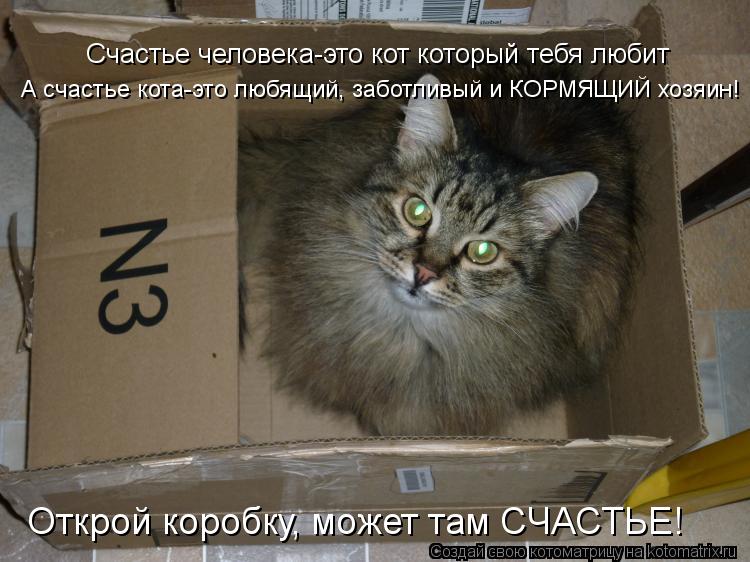 Счастье человека-это кот который тебя любит А счастье кота-это любящий, заботливый и КОРМЯЩИЙ хозяин!... Котоматрица: Счастье человека-это кот который тебя любит А счастье кота-это любящий, заботливый и КОРМЯЩИЙ хозяин! Открой коробку, может там СЧАСТЬЕ!