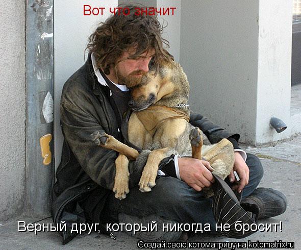Вот что значит Верный друг, который никогда не бросит!... Котоматрица: Вот что значит Верный друг, который никогда не бросит!