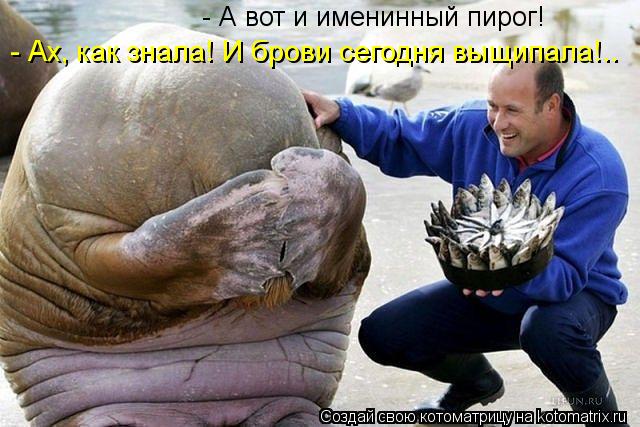 - А вот и именинный пирог! - Ах, как знала! И брови сегодня выщипала!..... Котоматрица: - А вот и именинный пирог! - Ах, как знала! И брови сегодня выщипала!..