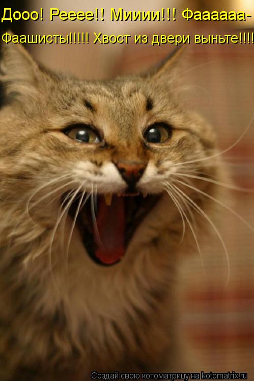 Дооо! Рееее!! Мииии!!! Фаааааа- Фаашисты!!!!! Хвост из двери выньте!!!!... Котоматрица: Дооо! Рееее!! Мииии!!! Фаааааа- Фаашисты!!!!! Хвост из двери выньте!!!!