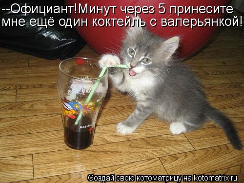 --Официант!Минут через 5 принесите мне ещё один коктейль с валерьянкой!... Котоматрица: --Официант!Минут через 5 принесите мне ещё один коктейль с валерьянкой!