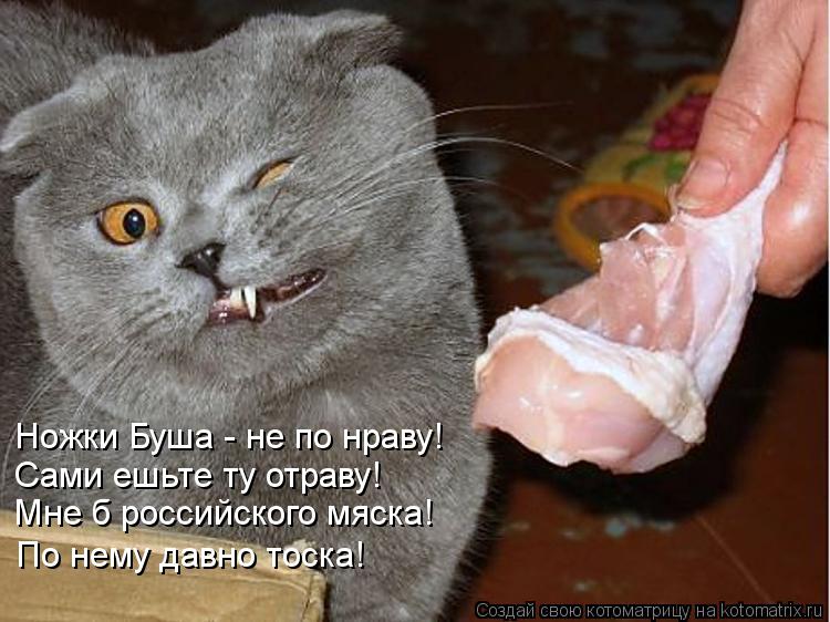 Ножки Буша - не по нраву! Сами ешьте ту отраву! Мне б российского мяска! По нему давно тоска!... Котоматрица: Ножки Буша - не по нраву! Сами ешьте ту отраву! Мне б российского мяска! По нему давно тоска!