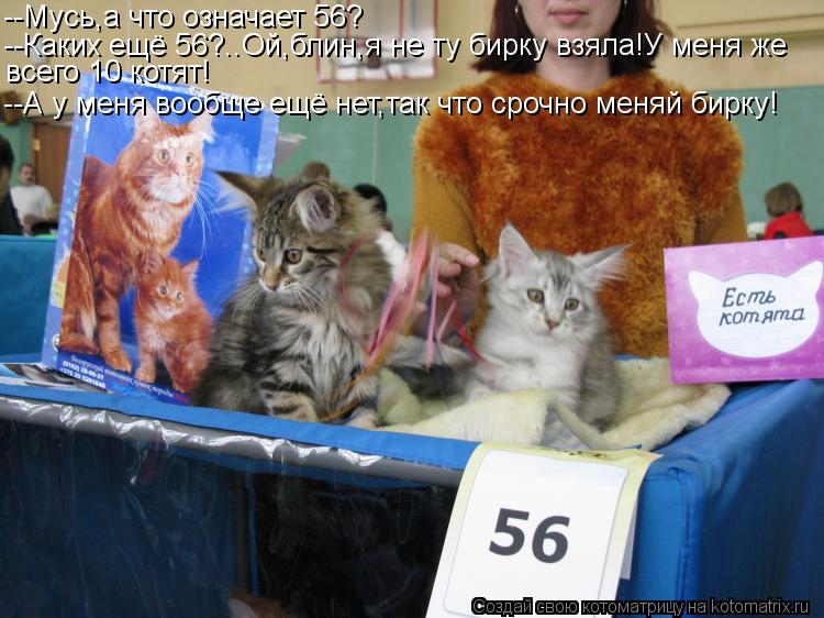 --Мусь,а что означает 56? --Каких ещё 56?..Ой,блин,я не ту бирку взяла!У меня же всего 10 котят! --А ... Котоматрица: --Мусь,а что означает 56? --Каких ещё 56?..Ой,блин,я не ту бирку взяла!У меня же всего 10 котят! --А у меня вообще ещё нет,так что срочно меняй бирку!