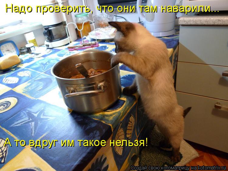 Надо проверить, что они там наварили... А то вдруг им такое нельзя!... Котоматрица: Надо проверить, что они там наварили... А то вдруг им такое нельзя!