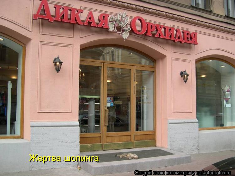 Жертва шопинга... Котоматрица: Жертва шопинга