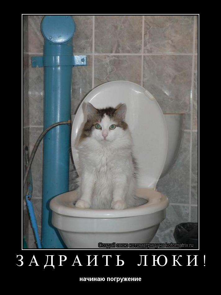 Котоматрица: задраить люки! начинаю погружение