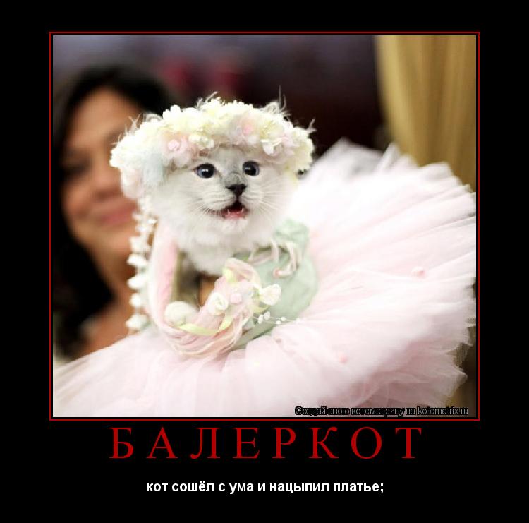 Котоматрица: балеркот кот сошёл с ума и нацыпил платье;