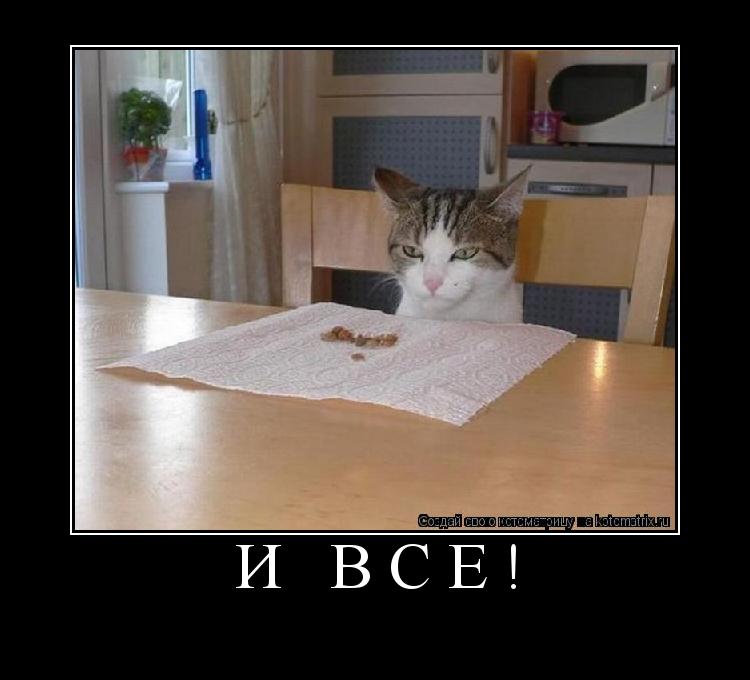 Котоматрица: и всё! 