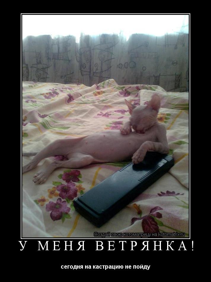Котоматрица: у меня ветрянка! сегодня на кастрацию не пойду