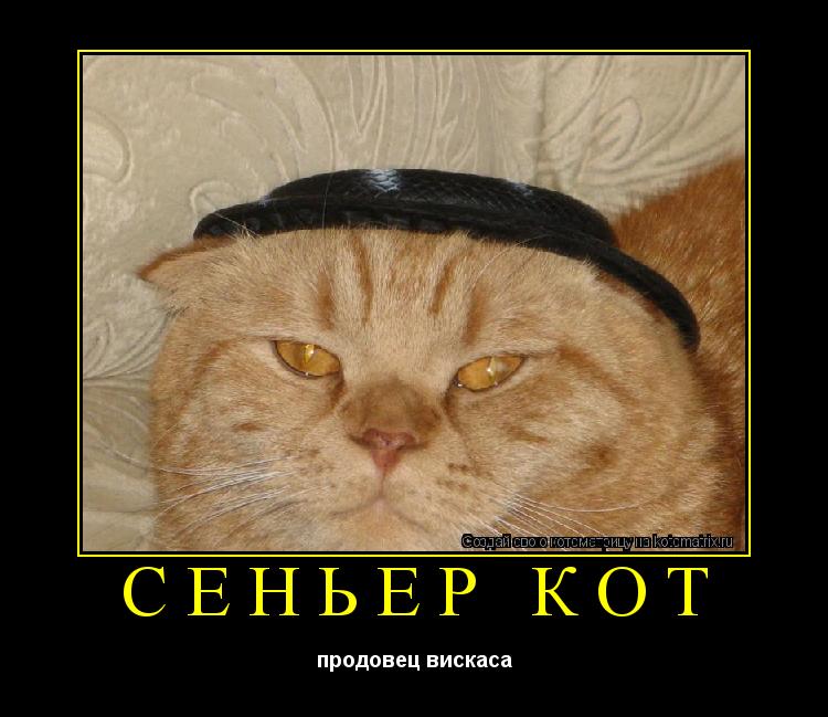 Котоматрица: сеньёр кот продовец вискаса