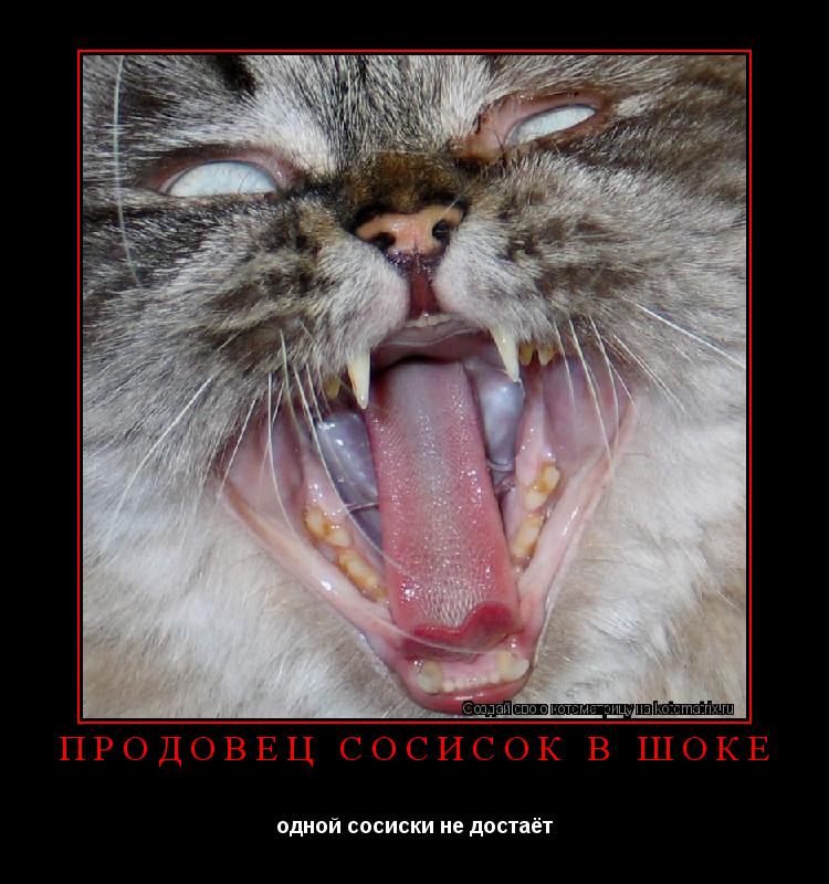 Котоматрица: продовец сосисок в шоке одной сосиски не достаёт