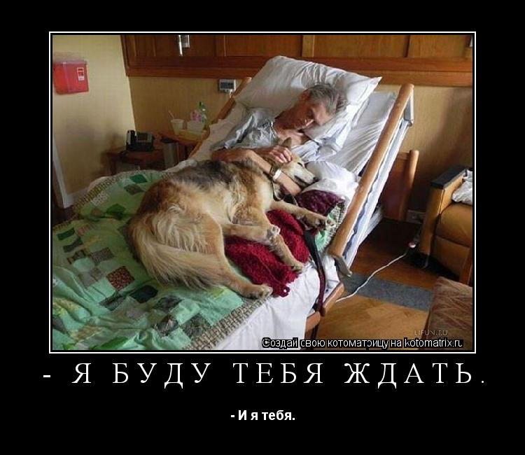 - Я буду тебя ждать. - И я тебя.... Котоматрица: - Я буду тебя ждать. - И я тебя.