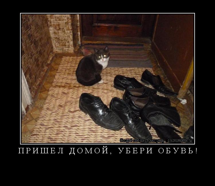 Котоматрица: Пришел домой, убери обувь! 