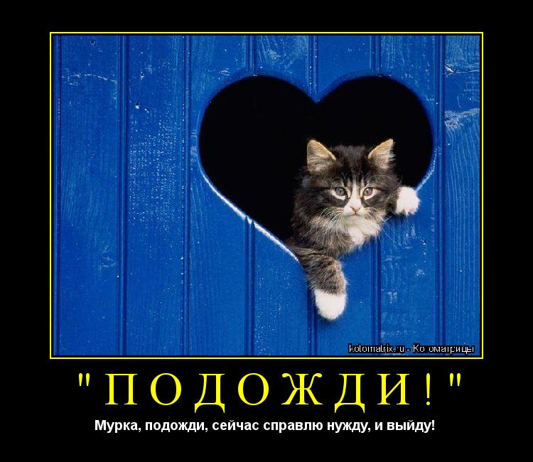Котоматрица: "Подожди!" Мурка, подожди, сейчас справлю нужду, и выйду! 