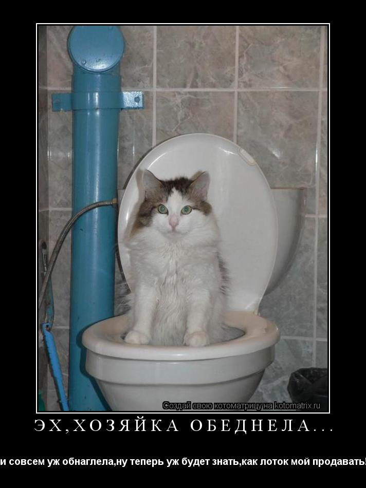 Котоматрица: Эх,хозяйка обеднела... и совсем уж обнаглела,ну теперь уж будет знать,как лоток мой продавать!