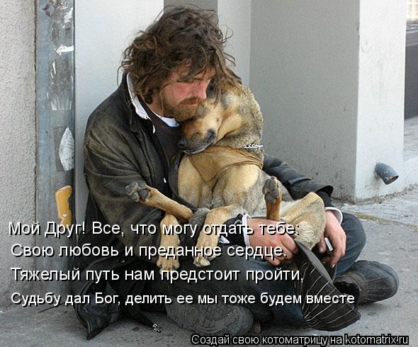 Мой Друг! Все, что могу отдать тебе: Свою любовь и преданное сердце. Тяжелый путь нам предстоит про... Котоматрица: Мой Друг! Все, что могу отдать тебе: Свою любовь и преданное сердце. Тяжелый путь нам предстоит пройти, Судьбу дал Бог, делить ее мы тоже буд