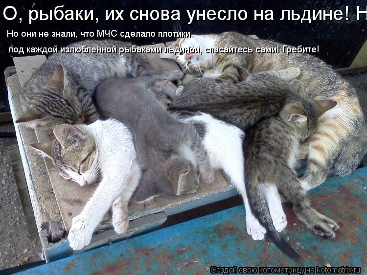 Котоматрица: О, рыбаки, их снова унесло на льдине! Но они не знали, что МЧС сделало плотики под каждой излюбленной рыбаками льдиной, спасайтесь сами! Греб