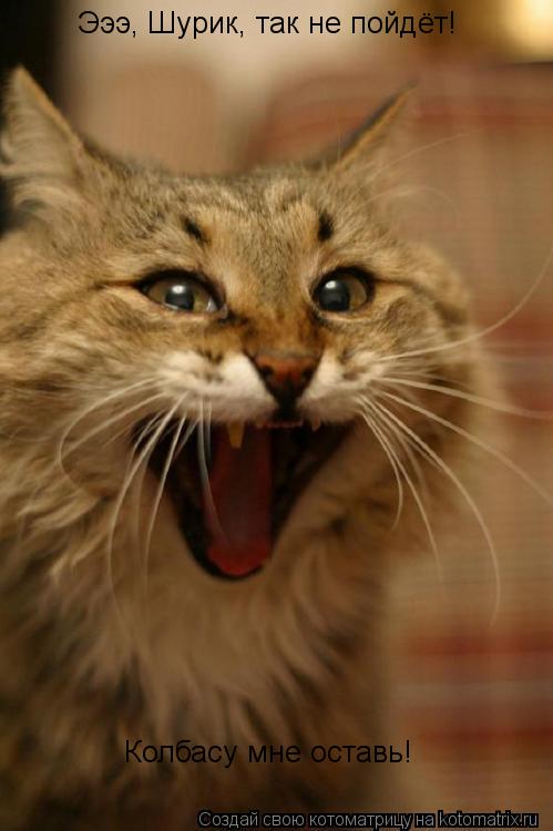 Котоматрица: Эээ, Шурик, так не пойдёт! Колбасу мне оставь!