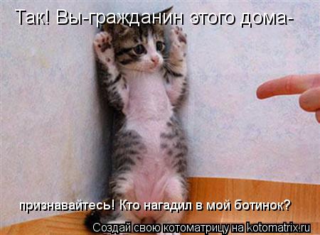 Котоматрица: Так! Вы-гражданин этого дома- признавайтесь! Кто нагадил в мой ботинок?