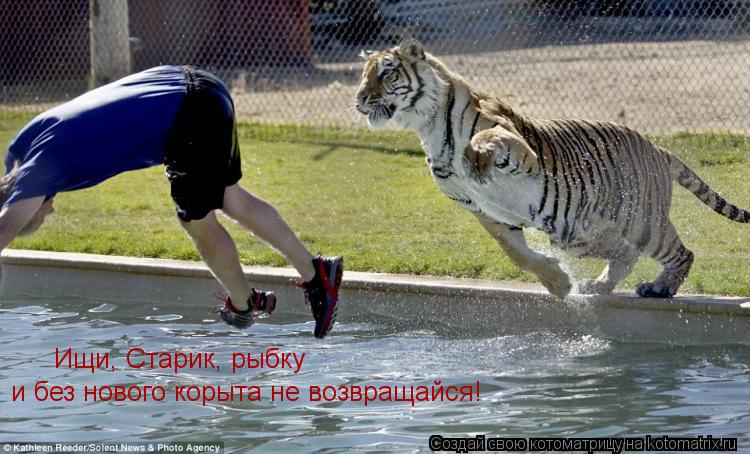 Котоматрица: Ищи, Старик, рыбку и без нового корыта не возвращайся!