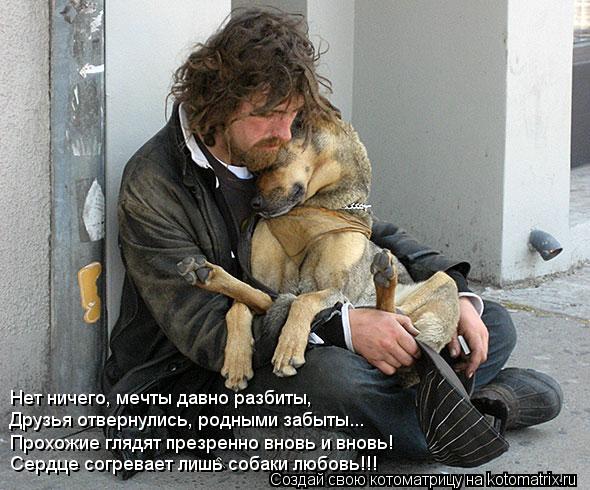 Котоматрица: Нет ничего, мечты давно разбиты, Друзья отвернулись, родными забыты... Прохожие глядят презренно вновь и вновь! Сердце согревает лишь собаки