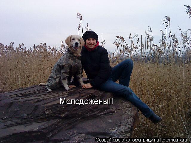 Котоматрица: Молодожёны!!