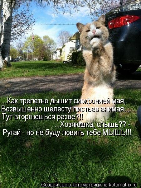 Котоматрица: ...Как трепетно дышит симфонией мая, Возвышенно шелесту листьев внимая... Тут вторгнешься разве?!! ...Хозяюшка, слышь?? - Ругай - но не буду ловит
