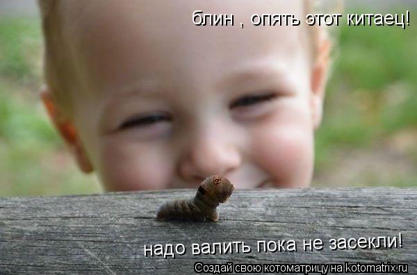 Котоматрица: блин , опять этот китаец! надо валить пока не засекли!