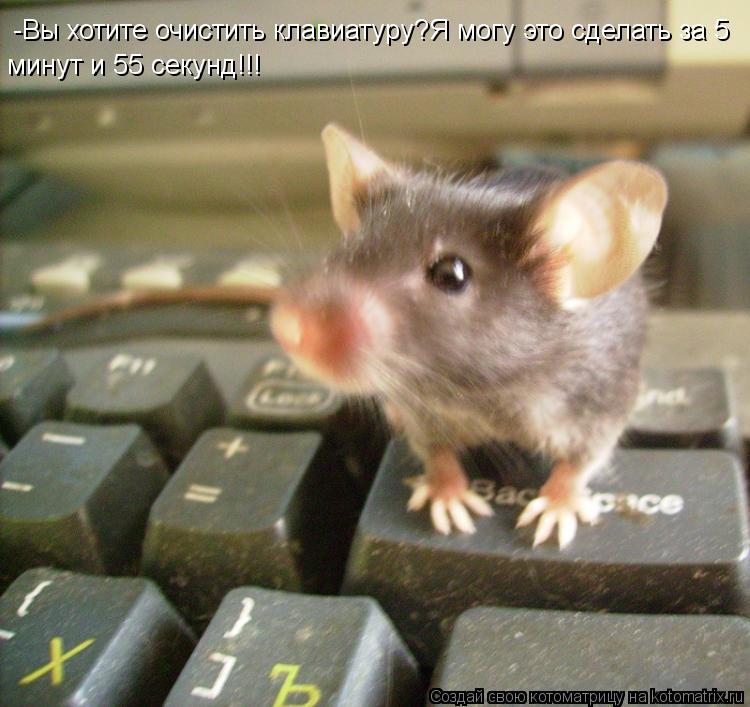Котоматрица: -Вы хотите очистить клавиатуру?Я могу это сделать за 5 минут и 55 секунд!!!