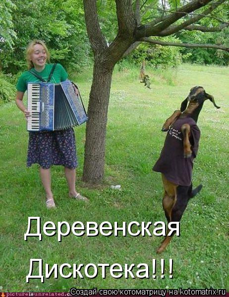 Котоматрица: Деревенская  Дискотека!!!