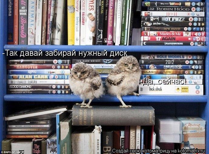 Котоматрица: -Так давай забирай нужный диск -Да, сейчас!