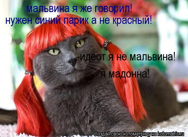 Котоматрица: мальвина я же говорил! нужен синий парик а не красный! -идеот я не мальвина! я мадонна!