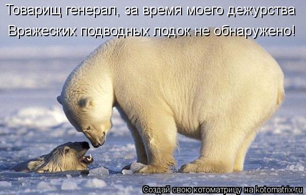 Котоматрица: Товарищ генерал, за время моего дежурства Вражеских подводных лодок не обнаружено!