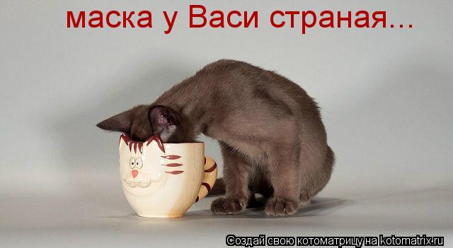 Котоматрица: маска у Васи страная...