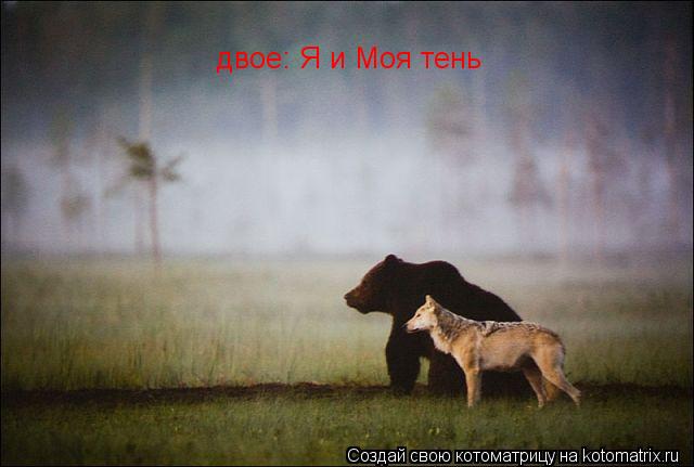 Котоматрица: двое: Я и Моя тень