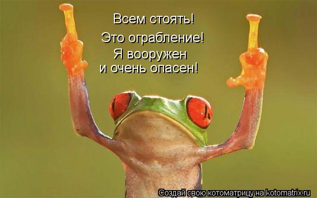 Котоматрица: Всем стоять!  Это ограбление!  Я вооружен  и очень опасен!