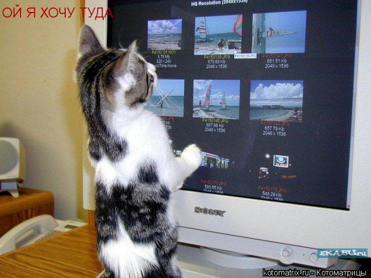 Котоматрица: ОЙ Я ХОЧУ ТУДА