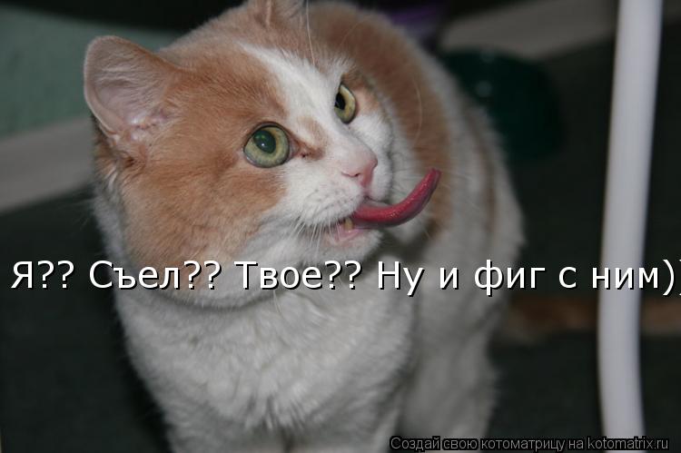 Котоматрица: Я?? Съел?? Твое?? Ну и фиг с ним)) Я?? Съел?? Твое?? Ну и фиг с ним))