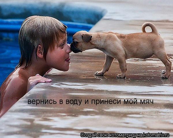 Котоматрица: вернись в воду и принеси мой мяч