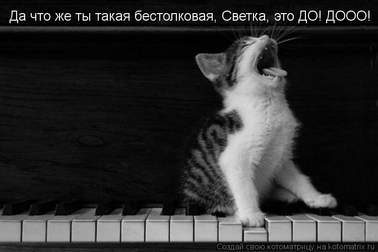 Да что же ты такая бестолковая, Светка, это ДО! ДООО!... Котоматрица: Да что же ты такая бестолковая, Светка, это ДО! ДООО!