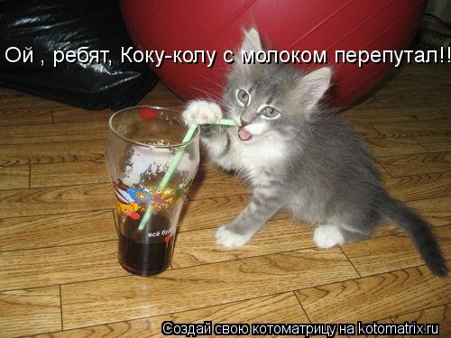 Котоматрица: Ой , ребят, Коку-колу с молоком перепутал!!